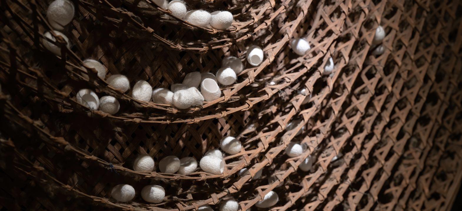 Characteristics of silk filament at different layers of mulberry and tasar cocoons
